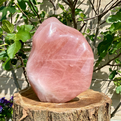 Polerad Rose Quartz statyett - 33 cm / 11,4 kg