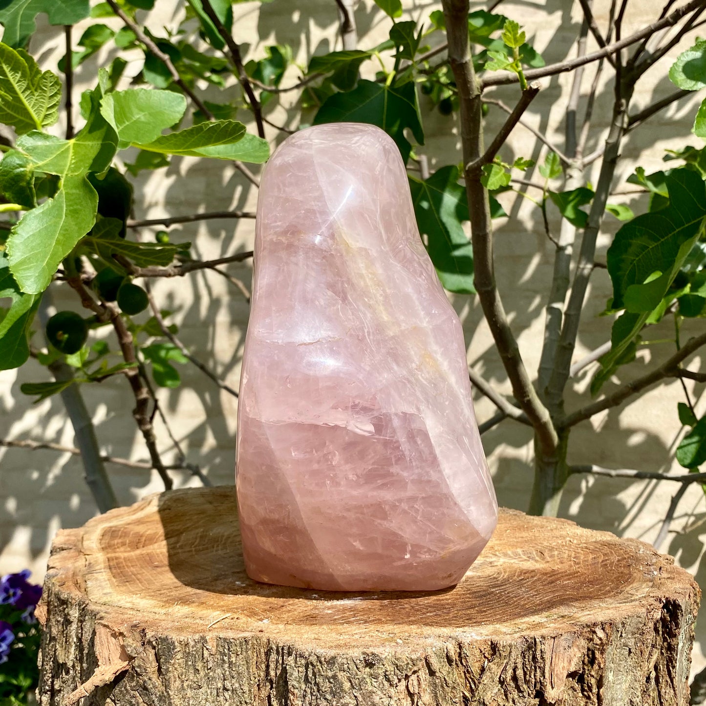 Polerad Rose Quartz statyett - 33 cm / 11,4 kg Polerad Rose Quartz statyett - 33 cm / 11,4 kg