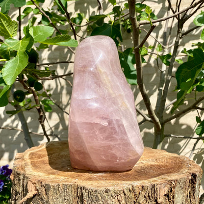 Polerad Rose Quartz statyett - 33 cm / 11,4 kg