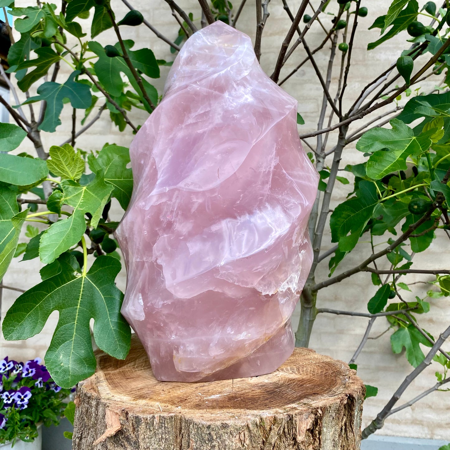 Polerad Rose Quartz Flame - 45 cm / 32,5 kg  Polerad Rose Quartz Flame - 45 cm / 32,5 kg 