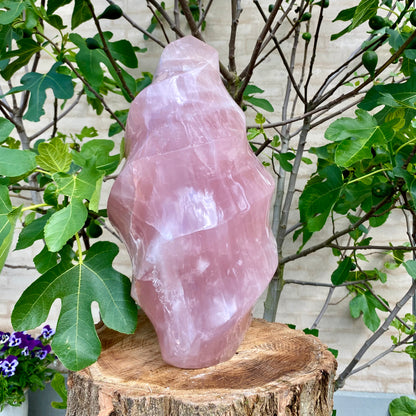 Polerad Rose Quartz Flame - 45 cm / 32,5 kg 