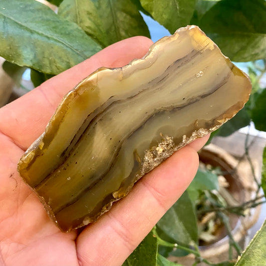 Billede af Agate River, Limpopo - Sydafrika