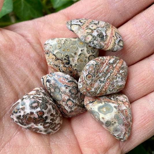 Billede af Jaspis, Leopardskinn - Pocket stone