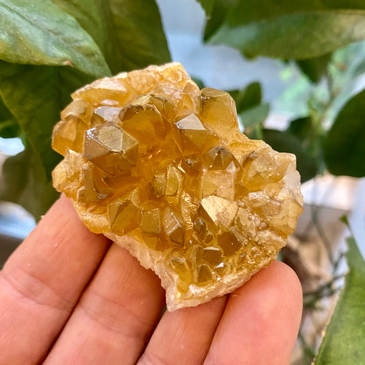 Billede af Golden healer / Limonit kvarts klynge, Zambia