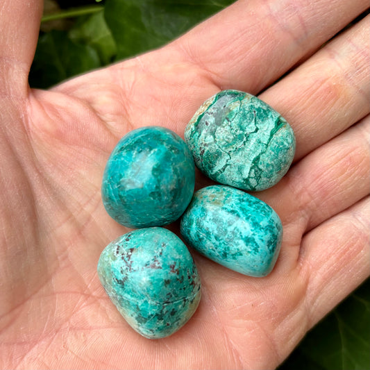 Billede af Chrysocolla - lommesten