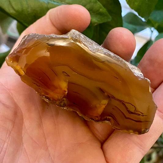 Billede af Agate River, Limpopo - Sydafrika