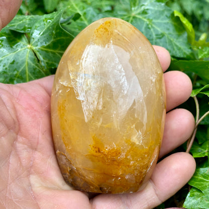 Golden healer form, Zambia