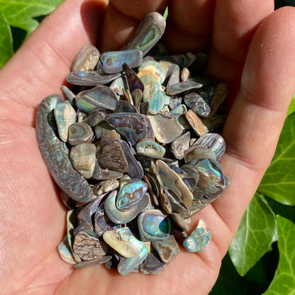 Paua skal 100 gram