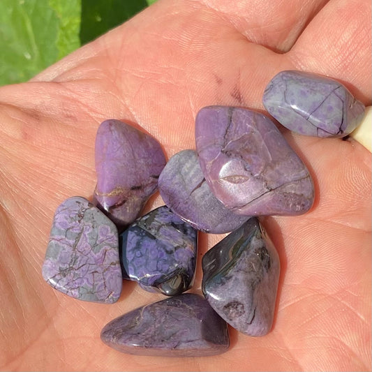 Billede af Sugilite - Pocket Stone