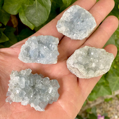 Celestite minigeodfragment 3 - 4 cm