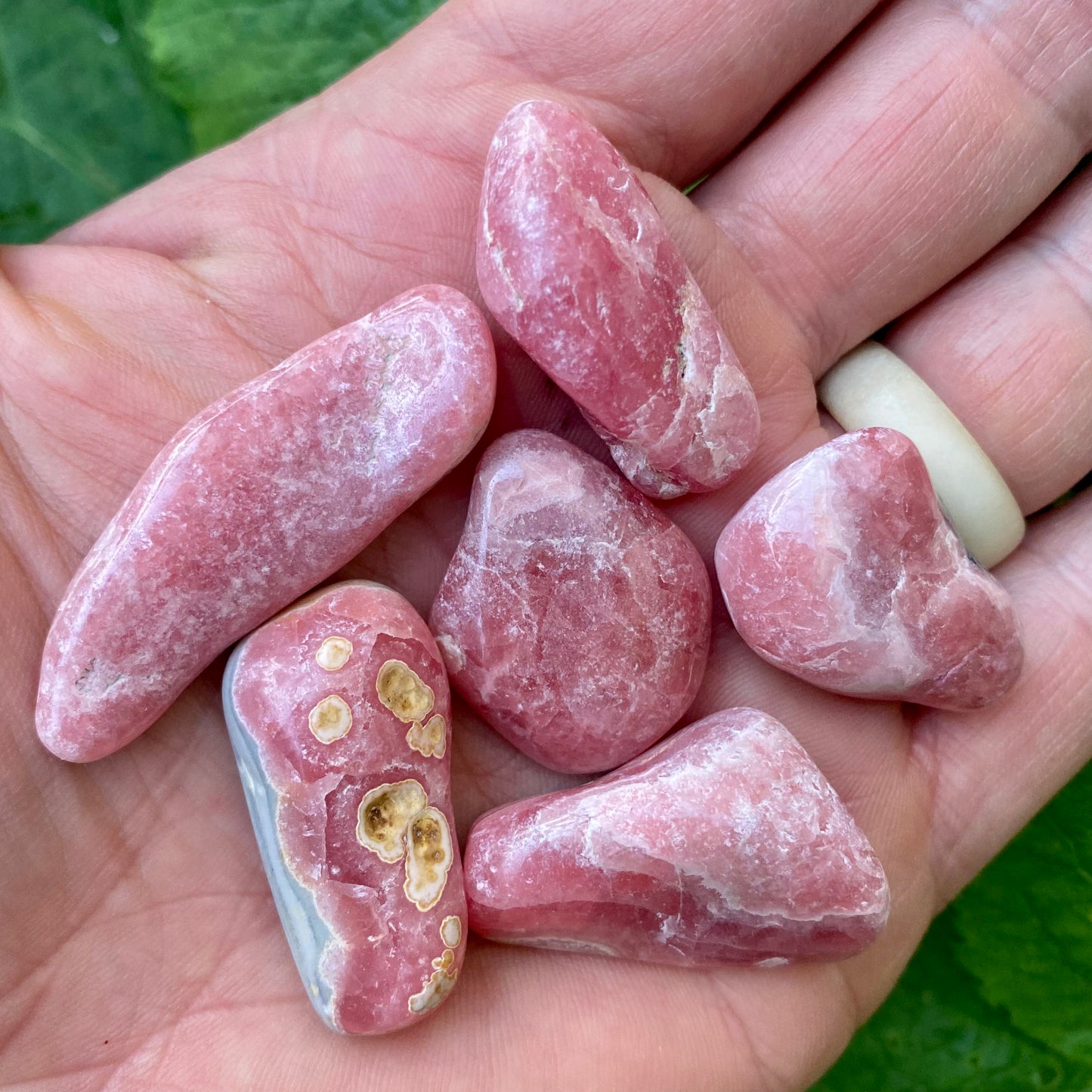 Rhodochrosite A - ficksten Rhodochrosite A - ficksten