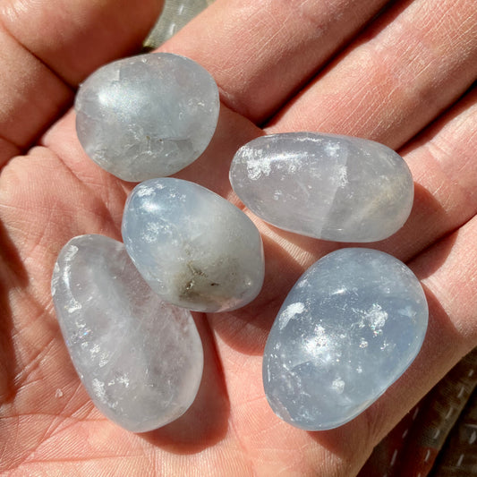 Billede af Celestite - ficksten 3 cm